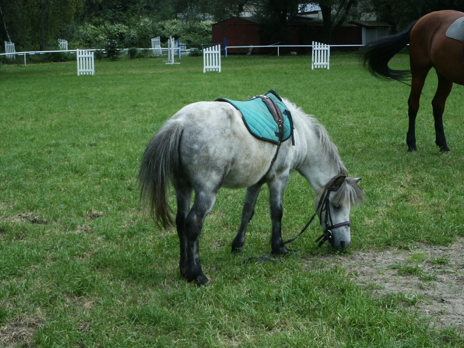 PICT0636.JPG