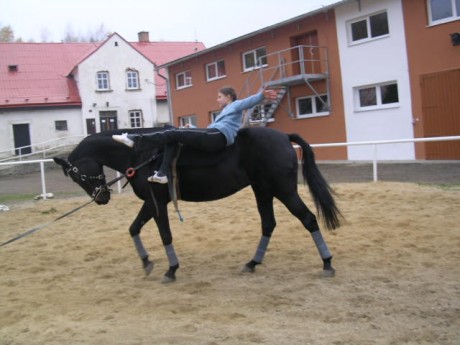 DSCN1794.JPG
