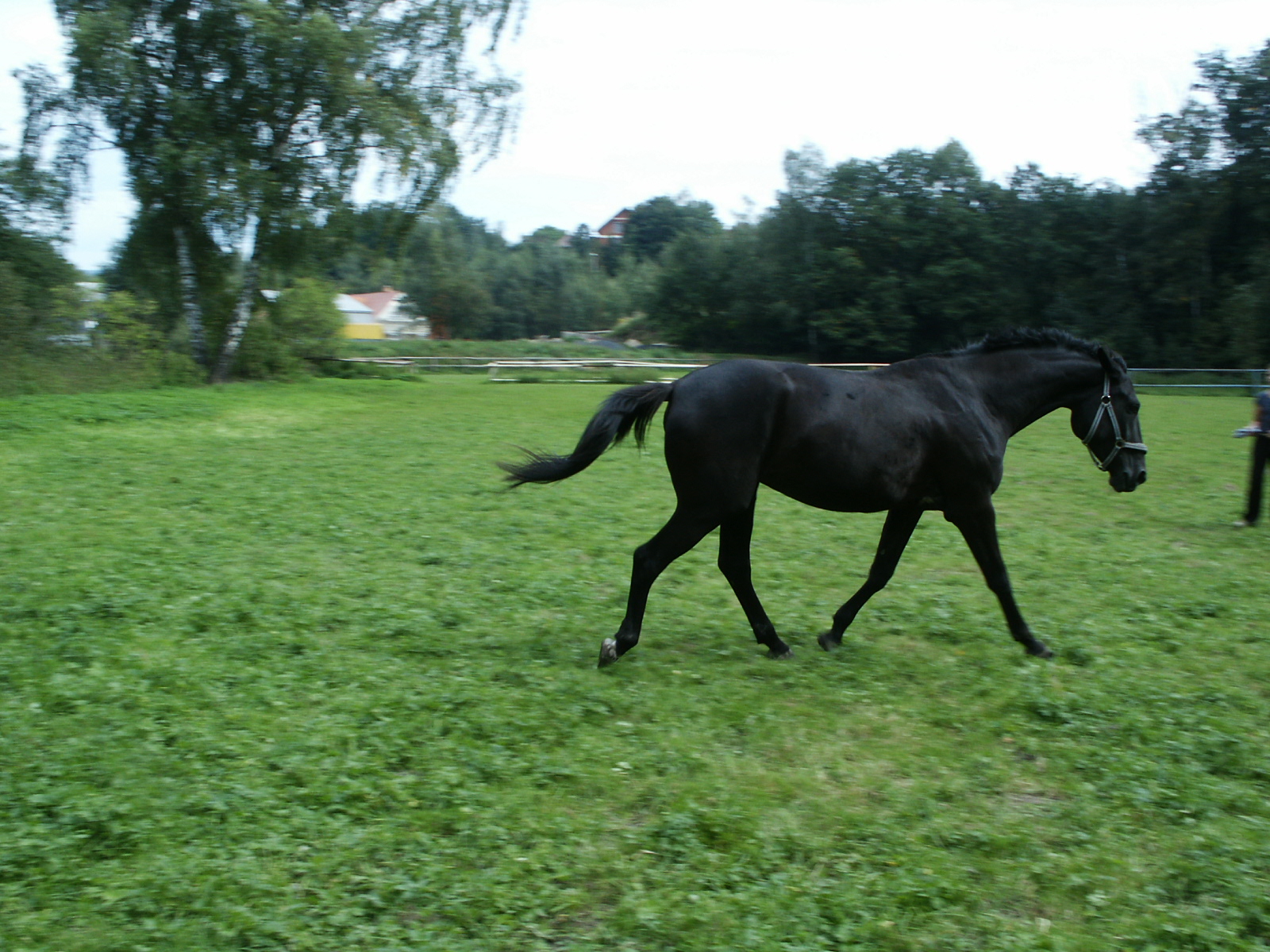 PICT0694.JPG