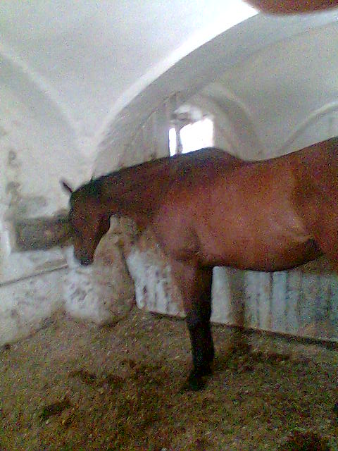 Snímek 035.jpg