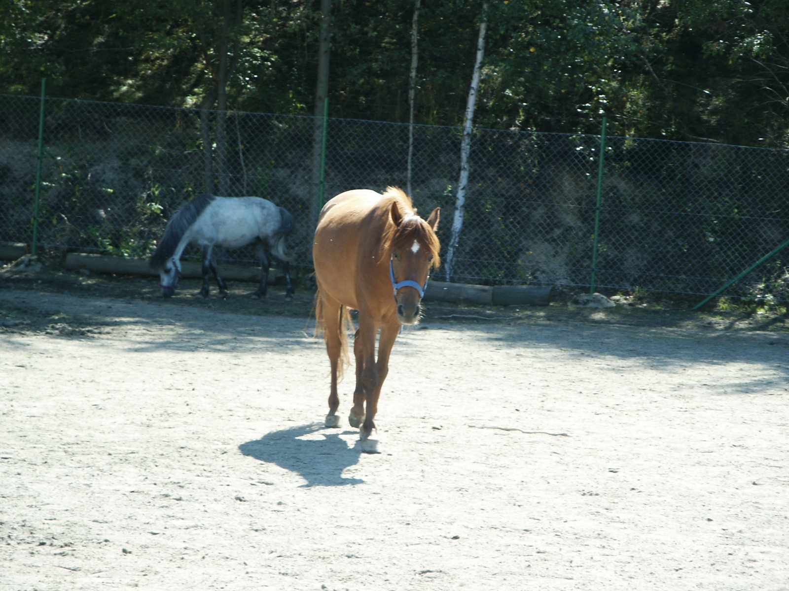 PICT0497.JPG